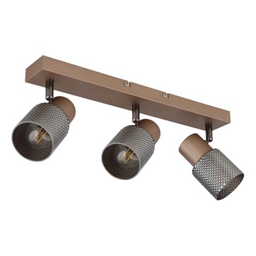 Globo - Akcentinis apšvietimas 3xE14/40W/230V