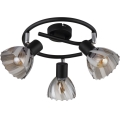 Globo - Akcentinis apšvietimas 3xE14/40W/230V juoda