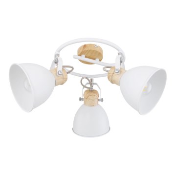 Globo - Akcentinis apšvietimas 3xE27/40W/230V