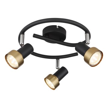 Globo - Akcentinis apšvietimas  3xGU10/25W/230V juoda/auksas