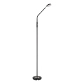 Globo - dimeriuojama jutiklinė pastatoma LED lempa LED/6,5W/230V 2700/3350/4000K juoda