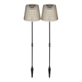 Globo - KOMPLEKTAS 2x LED apšvietimas, įkraunamas saulės energija LED/0,06W/3V IP44 pilka