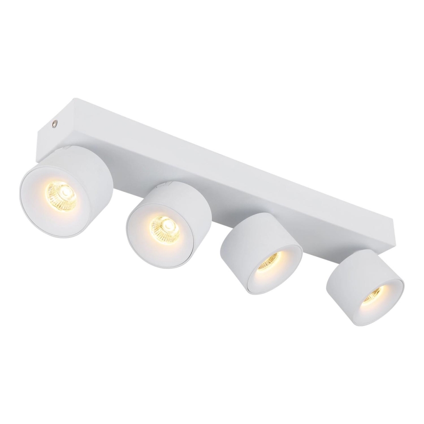 Globo - LED akcentinis šviestuvas 4xLED/6W/230V balta