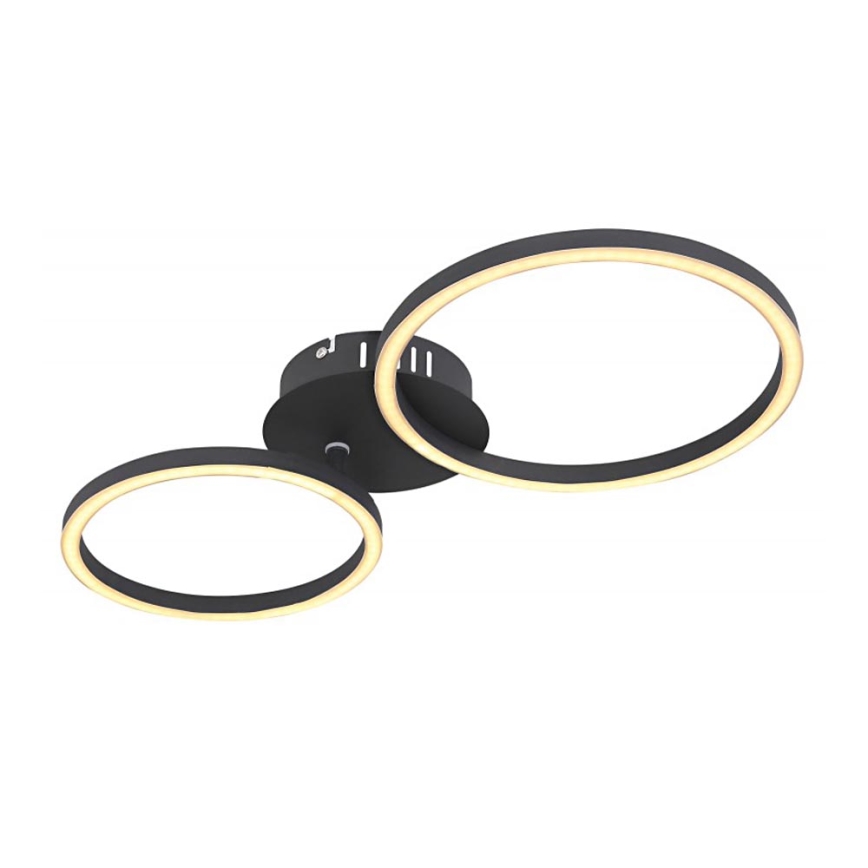 Globo - LED Ant pagrindo montuojamas sietynas KENDY LED/24W/230V