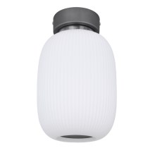 Globo - LED Ceiling Light LED/21W/230V