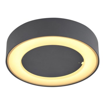 Globo - LED Lauko lubinis šviestuvas LED/12W/230V IP54