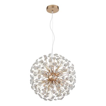 Globo - LED liustra ant laido 8xG9/3,5W/230V auksinė