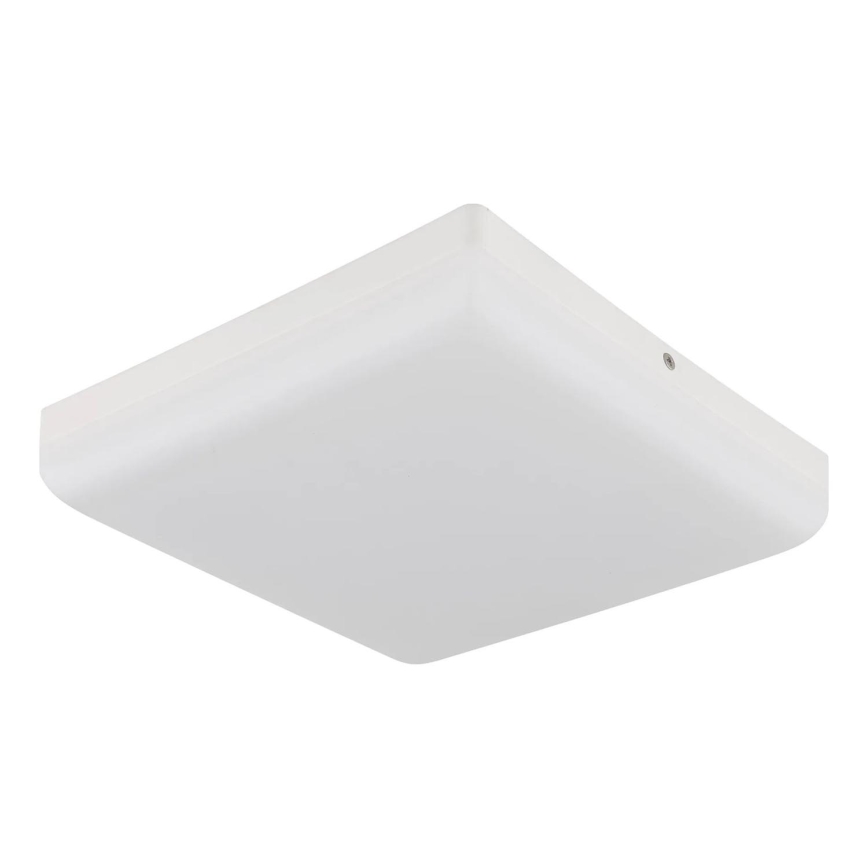 Globo - LED lubinis šviestuvas LED/12W/230V 4000K 22x22 cm balta