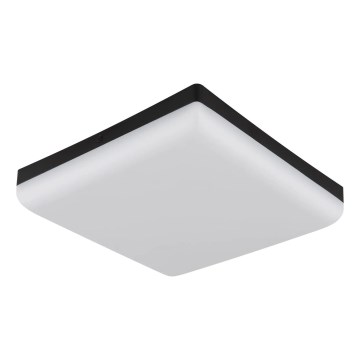 Globo - LED lubinis šviestuvas LED/12W/230V 4000K 22x22 cm juoda