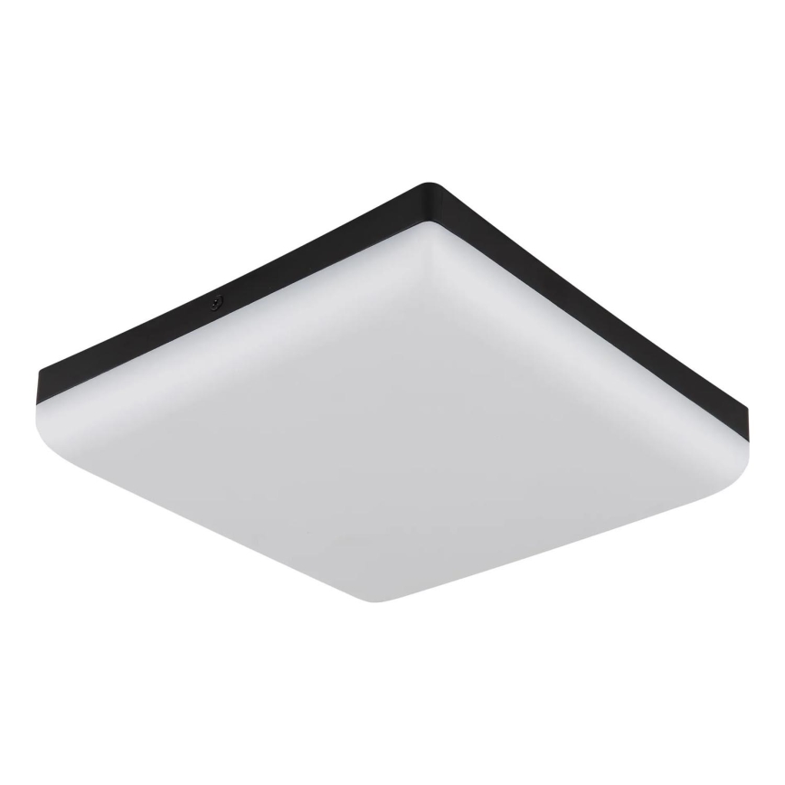 Globo - LED lubinis šviestuvas LED/12W/230V 4000K 22x22 cm juoda