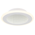 Globo - LED lubinis šviestuvas LED/12W/230V 4000K