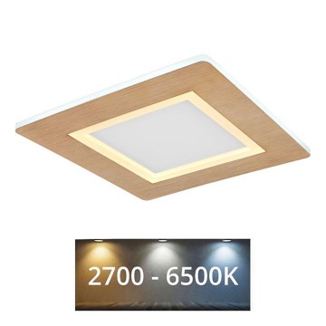 Globo - LED lubinis šviestuvas LED/23W/230V 2700/6500K