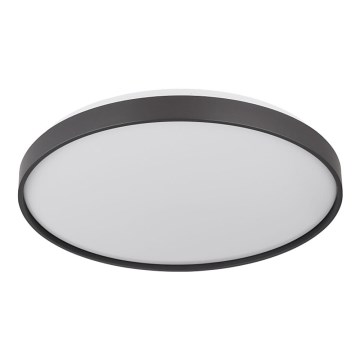 Globo - LED lubinis šviestuvas LED/24W/230V