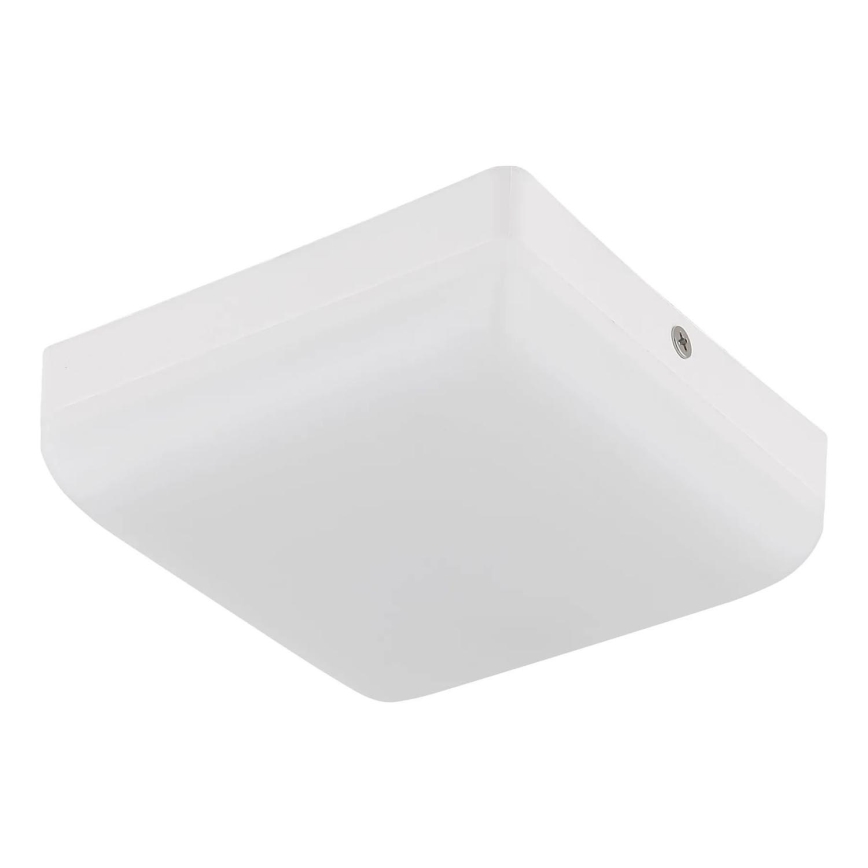 Globo - LED lubinis šviestuvas LED/8W/230V 4000K 12x12 cm balta