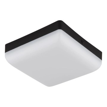 Globo - LED lubinis šviestuvas LED/8W/230V 4000K 12x12 cm juoda