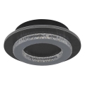 Globo - LED lubų šviestuvas LED/12W/230V 3000/4000/6500K Ø 20 cm antracitas