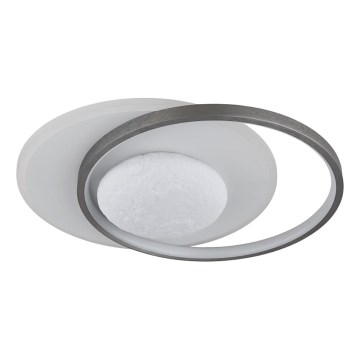 Globo - LED lubų šviestuvas LED/30W/230V 4000K