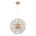 Globo - LED pakabinama liustra ant laido 8xG9/3,5W/230V, Ø 40 cm, auksinė