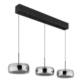 Globo - LED pakabinamas šviestuvas ant laido LED/30W/230V 3000K