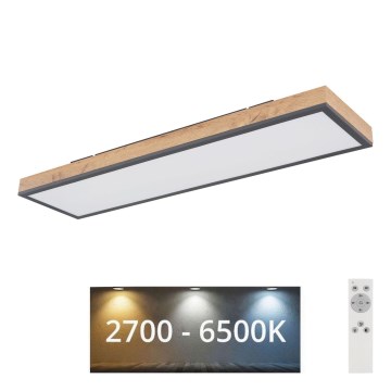 Globo - LED Pritemdomas lubinis šviestuvas LED/24W/230V 2700-6500K + nuotolinio valdymo pultas