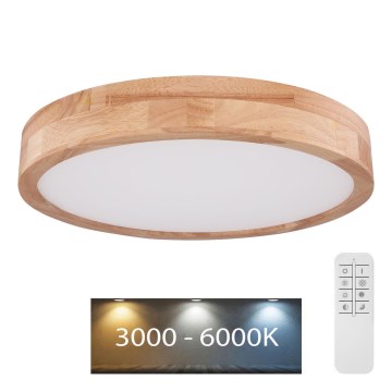 Globo - LED Pritemdomas lubinis šviestuvas LED/24W/230V 3000-6000K + nuotolinio valdymo pultas