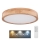 Globo - LED Pritemdomas lubinis šviestuvas LED/24W/230V 3000-6000K + nuotolinio valdymo pultas