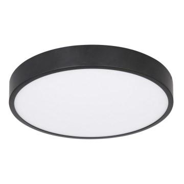 Globo - LED Pritemdomas lubinis šviestuvas LED/28W/230V