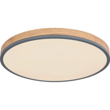 Globo - LED Pritemdomas lubinis šviestuvas LED/40W/230V 2700-6500K diametras 60 cm + nuotolinio valdymo pultas ruda/pilka