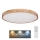Globo - LED Reguliuojamas lubinis šviestuvas LED/60W/230V 3000-6000K + valdymo pultas