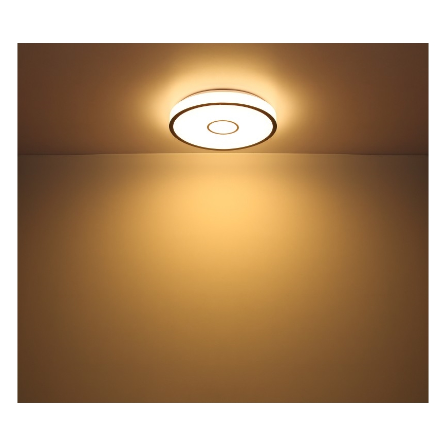 Globo - LED RGB Pritemdomas vonios šviestuvas LED/30W/230V IP44 Wi-Fi Tuya + nuotolinio valdymo pultas