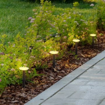 Globo - LED saulės girlianda 5xLED/3V IP44 300 mAh 2,2 m gėlės