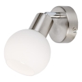 Globo - LED sieninis akcentinis šviestuvas 1xE14/5W/230V
