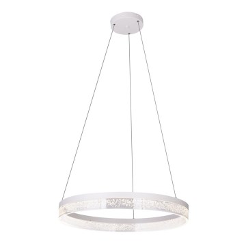 Globo - LED sietynas, kabinamas ant virvės 1xLED/36W/230V