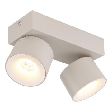 Globo - LED taškinis šviestuvas 2xLED/6W/230V