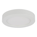 Globo - LED vonios kambario lubinis šviestuvas LED/18W/230V IP44
