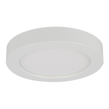 Globo - LED vonios kambario lubinis šviestuvas LED/18W/230V IP44