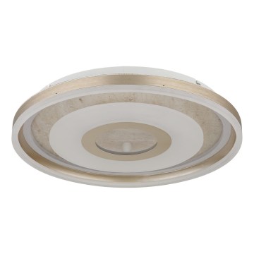 Globo - lubinis LED šviestuvas LED/40W/230V 3000K skersmuo 50 cm