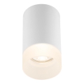 Globo - Lubinis šviestuvas 1xGU10/35W/230V