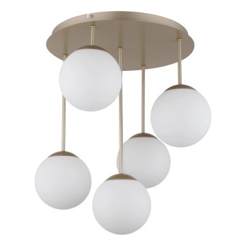 Globo - Lubinis šviestuvas 5xE14/25W/230V žalvarinis