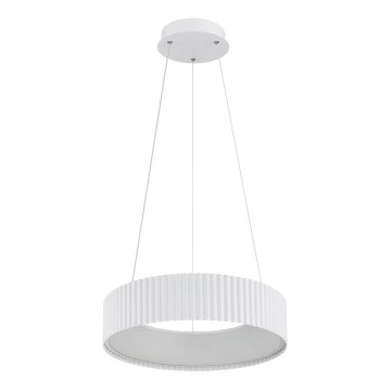 Globo - pakabinamas LED šviestuvas su kabeliu, 45W/230V, 2700/4000/6000K, Ø 46 cm, baltas