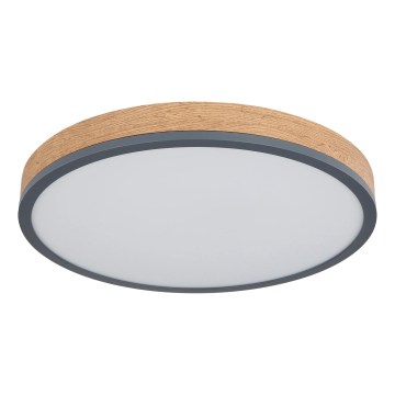 Globo - reguliuojamas LED lubinis šviestuvas LED/24W/230V 2700-6500K skersmuo 45 cm