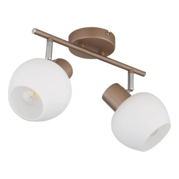 Globo - Taškinis šviestuvas 2xE27/40W/230V