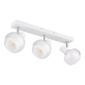 Globo - Taškinis šviestuvas 3xE14/40W/230V baltas