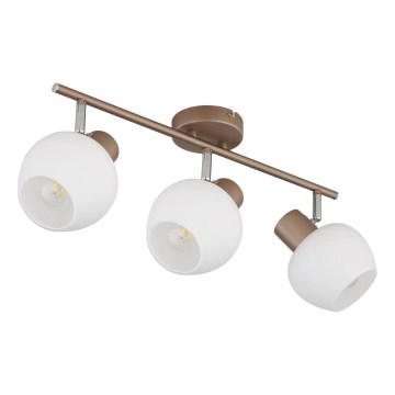 Globo - taškinis šviestuvas 3xE27/40W/230V