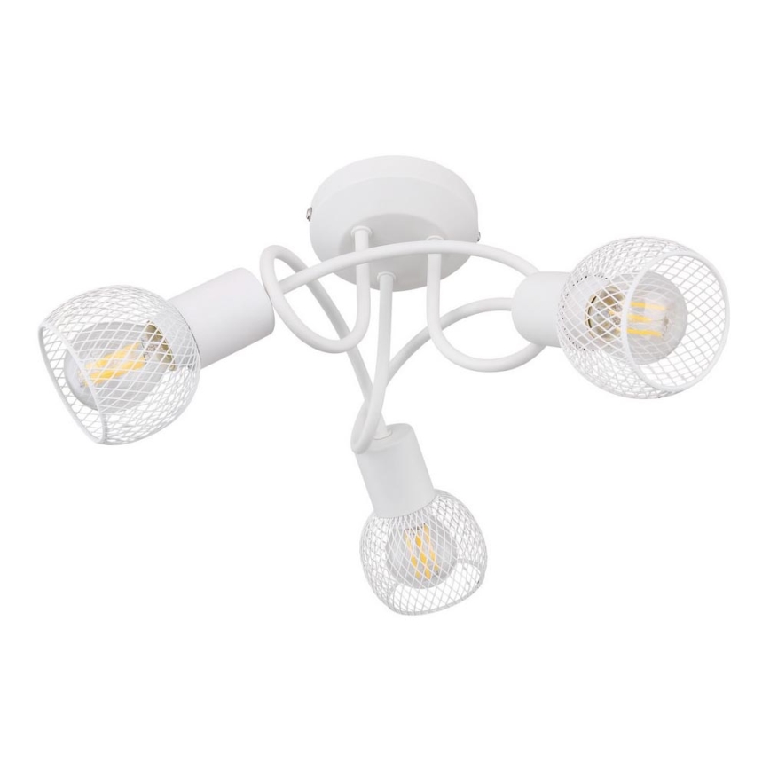 Globo - Tvirtinamas sietynas 3xE14/40W/230V