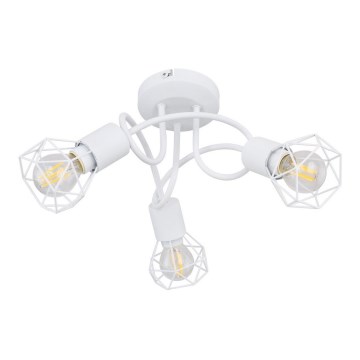 Globo - Tvirtinamas sietynas 3xE14/40W/230V