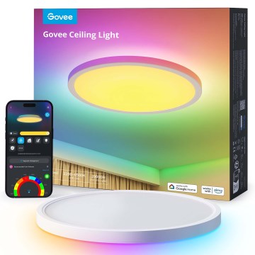 Govee - dimeriuojamas LED RGBICWW lubų šviestuvas, 29 W, 230 V, skersmuo 30 cm, Matter, Wi-Fi