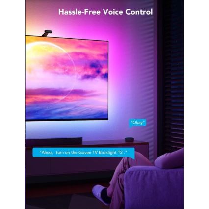 Govee - DreamView T2 DUAL TV 55-65" SMART LED foninis apšvietimas RGBIC Wi-Fi + nuotolinio valdymo pultas