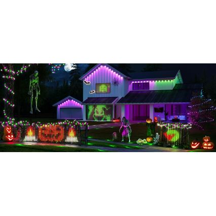 Govee - LED RGBIC lauko šviesų tinklas 143x85cm Wi-Fi Matter IP65