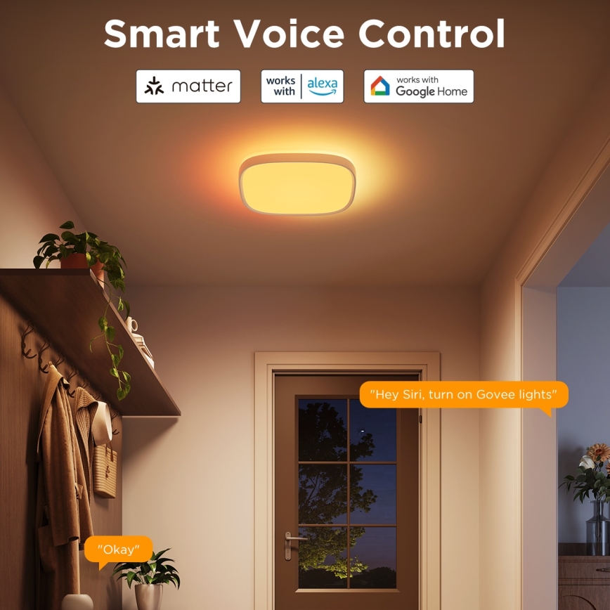 Govee - LED RGBIC Pritemdomas lubinis šviestuvas LED/24W/230V 2700-6500K Wi-Fi